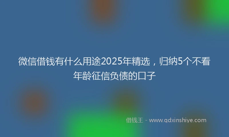 微信借钱有什么用途2025年精选，归纳5个不看年龄征信负债的口子