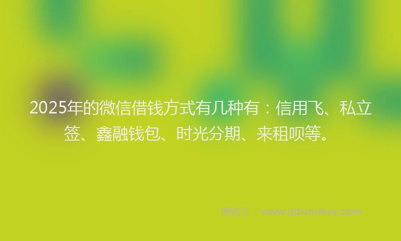 2025年的微信借钱方式有几种有：信用飞、私立签、鑫融钱包、时光分期、来租呗等。