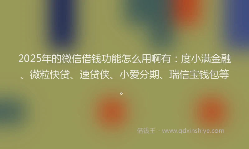 2025年的微信借钱功能怎么用啊有：度小满金融、微粒快贷、速贷侠、小爱分期、瑞信宝钱包等。