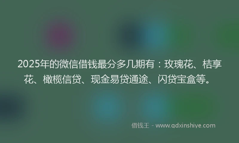 2025年的微信借钱最分多几期有：玫瑰花、桔享花、橄榄信贷、现金易贷通途、闪贷宝盒等。
