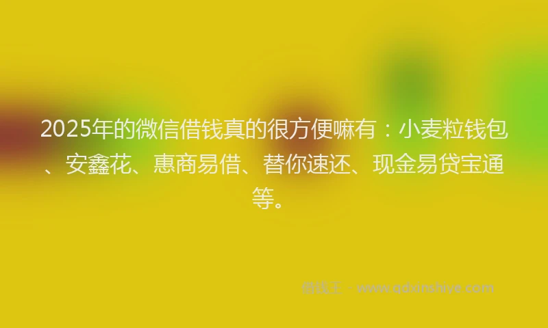 2025年的微信借钱真的很方便嘛有：小麦粒钱包、安鑫花、惠商易借、替你速还、现金易贷宝通等。