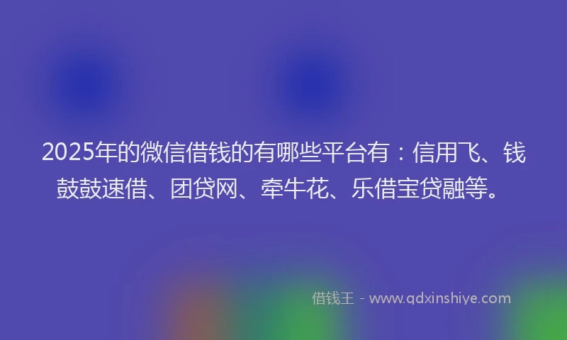 2025年的微信借钱的有哪些平台有：信用飞、钱鼓鼓速借、团贷网、牵牛花、乐借宝贷融等。