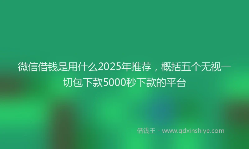 微信借钱是用什么2025年推荐，概括五个无视一切包下款5000秒下款的平台