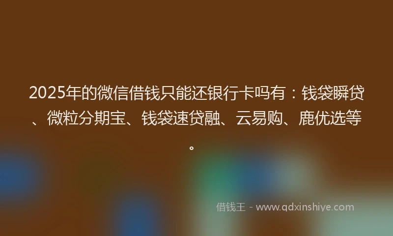 2025年的微信借钱只能还银行卡吗有：钱袋瞬贷、微粒分期宝、钱袋速贷融、云易购、鹿优选等。