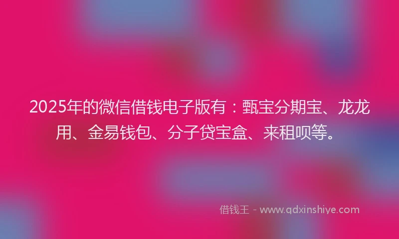 2025年的微信借钱电子版有：甄宝分期宝、龙龙用、金易钱包、分子贷宝盒、来租呗等。