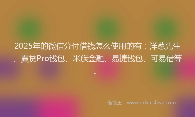 2025年的微信分付借钱怎么使用的有：洋葱先生、翼贷Pro钱包、米族金融、易捷钱包、可易借等。
