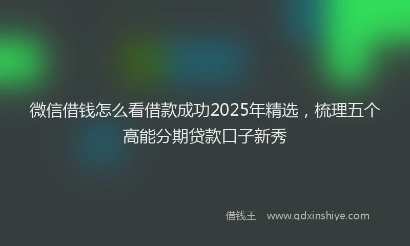 微信借钱怎么看借款成功2025年精选，梳理五个高能分期贷款口子新秀