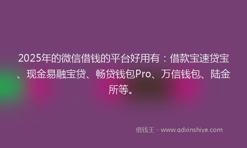 2025年的微信借钱的平台好用有：借款宝速贷宝、现金易融宝贷、畅贷钱包Pro、万信钱包、陆金所等。