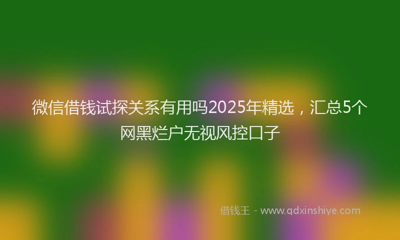 微信借钱试探关系有用吗2025年精选，汇总5个网黑烂户无视风控口子