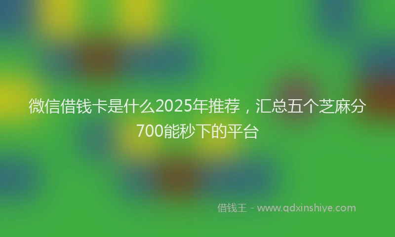微信借钱卡是什么2025年推荐，汇总五个芝麻分700能秒下的平台