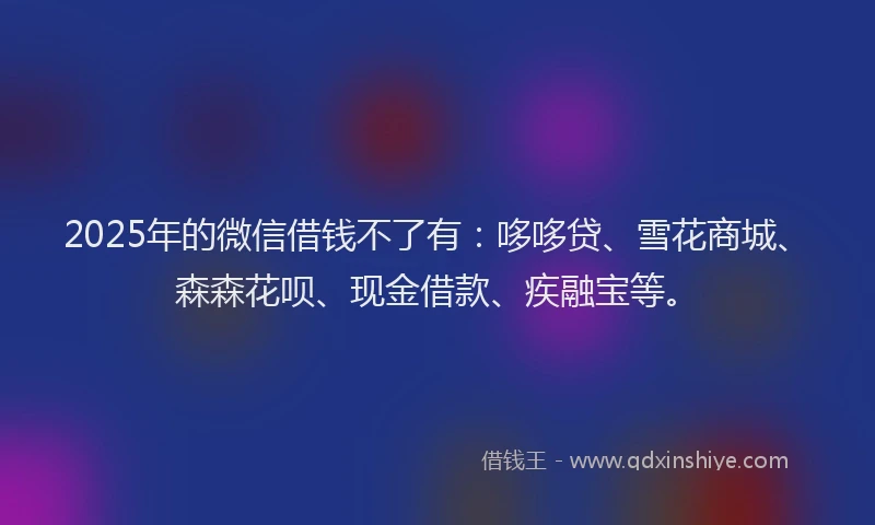 2025年的微信借钱不了有：哆哆贷、雪花商城、森森花呗、现金借款、疾融宝等。