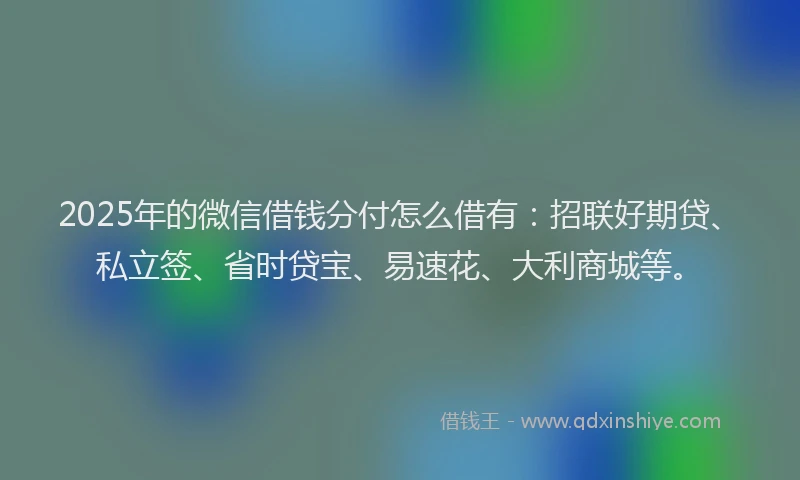 2025年的微信借钱分付怎么借有：招联好期贷、私立签、省时贷宝、易速花、大利商城等。