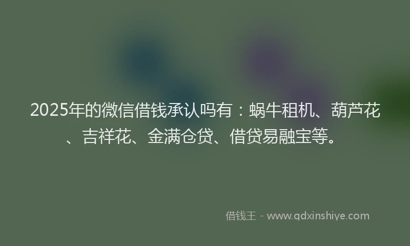 2025年的微信借钱承认吗有：蜗牛租机、葫芦花、吉祥花、金满仓贷、借贷易融宝等。
