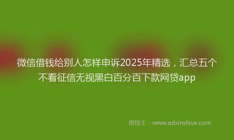 微信借钱给别人怎样申诉2025年精选，汇总五个不看征信无视黑白百分百下款网贷app
