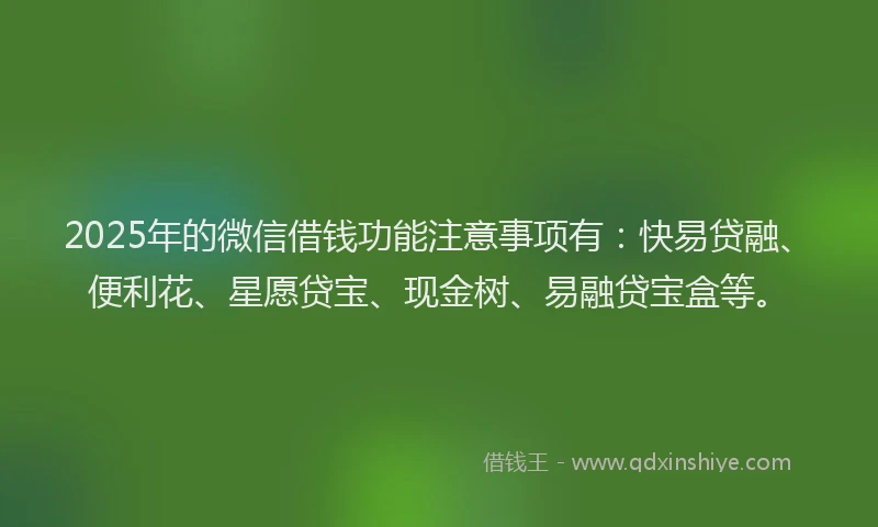2025年的微信借钱功能注意事项有：快易贷融、便利花、星愿贷宝、现金树、易融贷宝盒等。