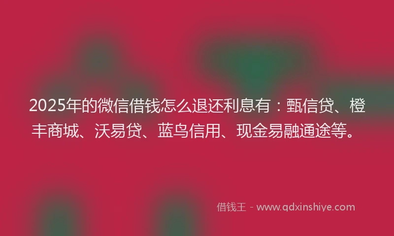 2025年的微信借钱怎么退还利息有：甄信贷、橙丰商城、沃易贷、蓝鸟信用、现金易融通途等。