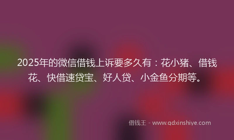 2025年的微信借钱上诉要多久有：花小猪、借钱花、快借速贷宝、好人贷、小金鱼分期等。