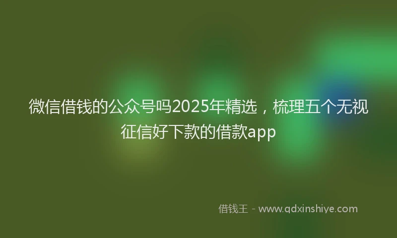 微信借钱的公众号吗2025年精选，梳理五个无视征信好下款的借款app