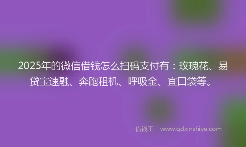 2025年的微信借钱怎么扫码支付有：玫瑰花、易贷宝速融、奔跑租机、呼吸金、宜口袋等。