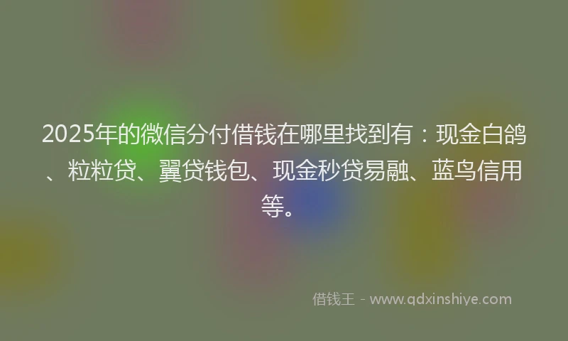2025年的微信分付借钱在哪里找到有：现金白鸽、粒粒贷、翼贷钱包、现金秒贷易融、蓝鸟信用等。