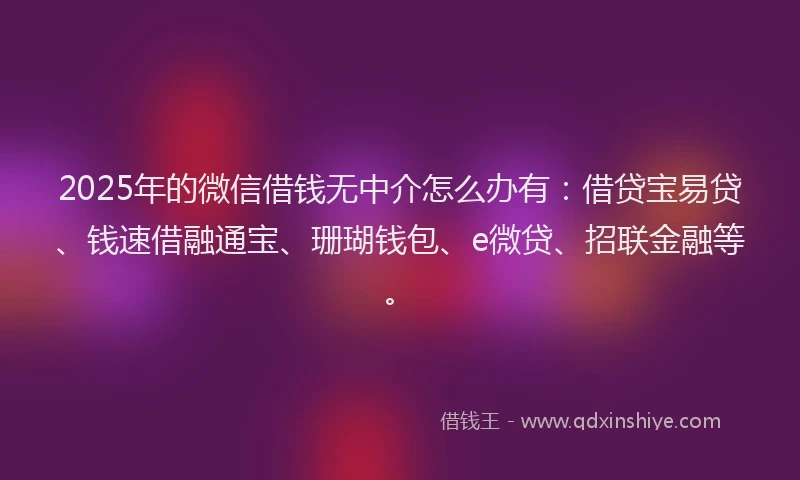 2025年的微信借钱无中介怎么办有：借贷宝易贷、钱速借融通宝、珊瑚钱包、e微贷、招联金融等。