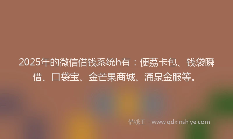 2025年的微信借钱系统h有：便荔卡包、钱袋瞬借、口袋宝、金芒果商城、涌泉金服等。