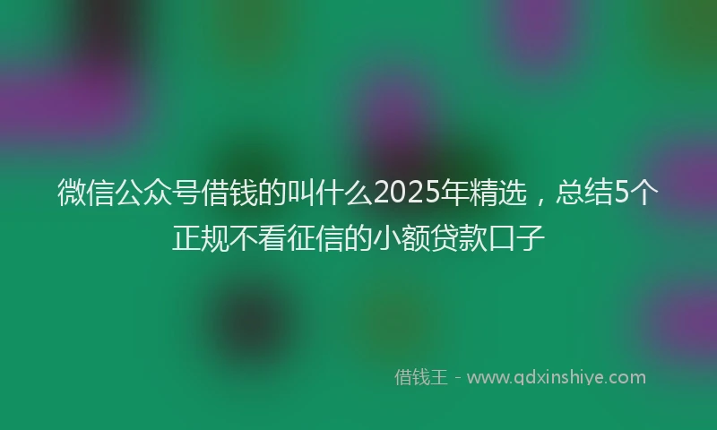 微信公众号借钱的叫什么2025年精选，总结5个正规不看征信的小额贷款口子