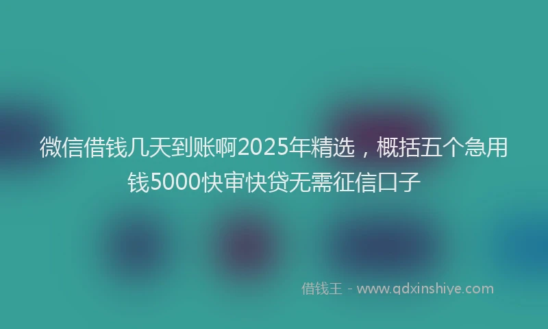 微信借钱几天到账啊2025年精选，概括五个急用钱5000快审快贷无需征信口子