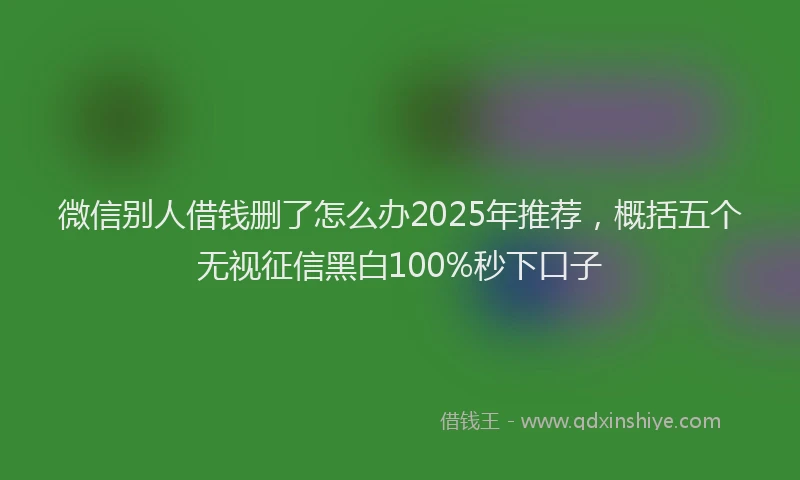微信别人借钱删了怎么办2025年推荐，概括五个无视征信黑白100%秒下口子