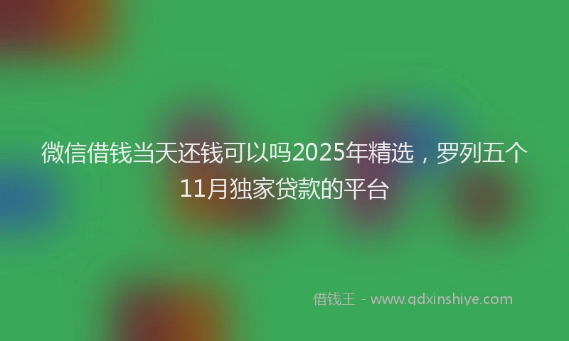 微信借钱当天还钱可以吗2025年精选，罗列五个11月独家贷款的平台