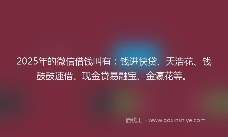 2025年的微信借钱叫有：钱进快贷、天浩花、钱鼓鼓速借、现金贷易融宝、金瀛花等。