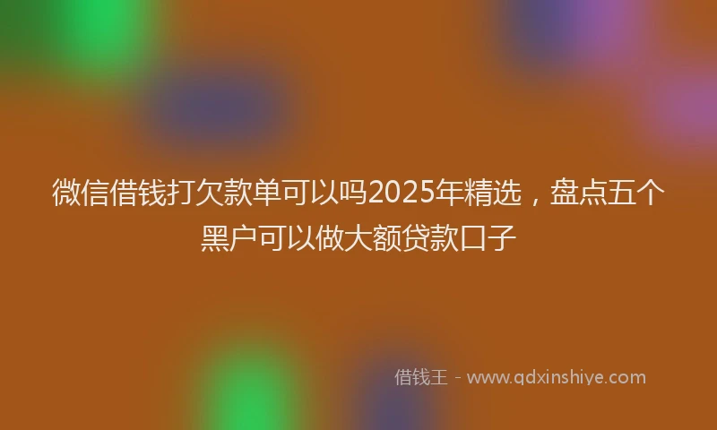 微信借钱打欠款单可以吗2025年精选，盘点五个黑户可以做大额贷款口子