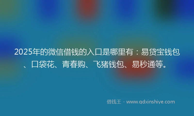 2025年的微信借钱的入口是哪里有：易贷宝钱包、口袋花、青春购、飞猪钱包、易秒通等。