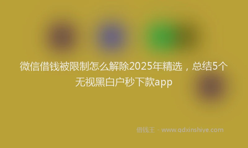 微信借钱被限制怎么解除2025年精选，总结5个无视黑白户秒下款app