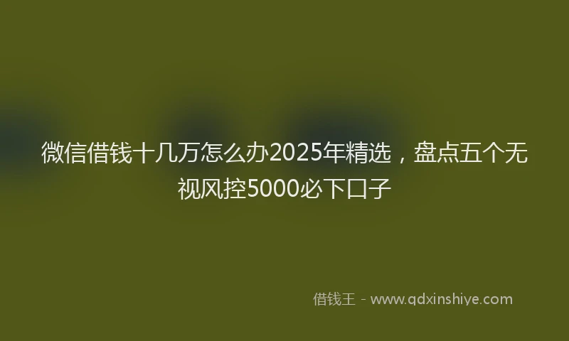 微信借钱十几万怎么办2025年精选，盘点五个无视风控5000必下口子