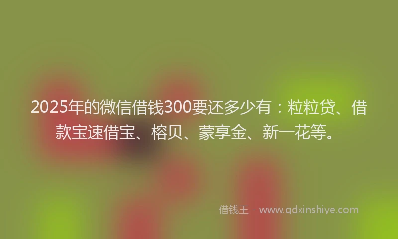 2025年的微信借钱300要还多少有：粒粒贷、借款宝速借宝、榕贝、蒙享金、新一花等。