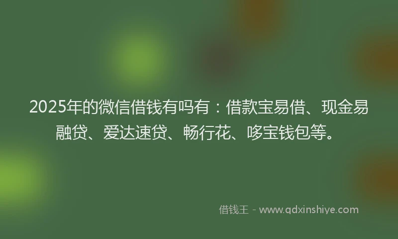 2025年的微信借钱有吗有：借款宝易借、现金易融贷、爱达速贷、畅行花、哆宝钱包等。