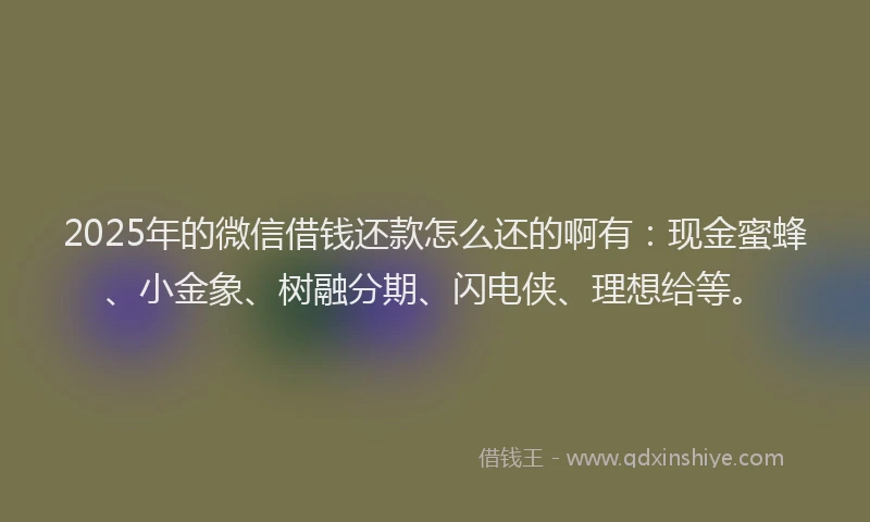 2025年的微信借钱还款怎么还的啊有：现金蜜蜂、小金象、树融分期、闪电侠、理想给等。