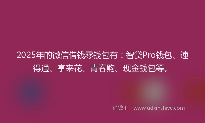 2025年的微信借钱零钱包有：智贷Pro钱包、速得通、享来花、青春购、现金钱包等。