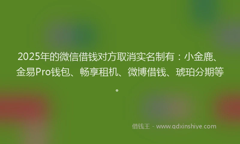 2025年的微信借钱对方取消实名制有：小金鹿、金易Pro钱包、畅享租机、微博借钱、琥珀分期等。