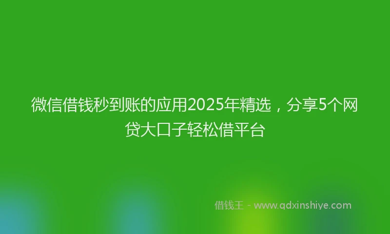 微信借钱秒到账的应用2025年精选，分享5个网贷大口子轻松借平台