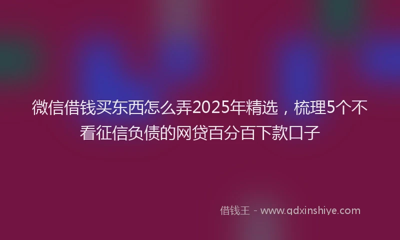 微信借钱买东西怎么弄2025年精选，梳理5个不看征信负债的网贷百分百下款口子