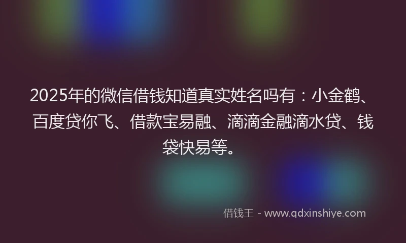 2025年的微信借钱知道真实姓名吗有：小金鹤、百度贷你飞、借款宝易融、滴滴金融滴水贷、钱袋快易等。
