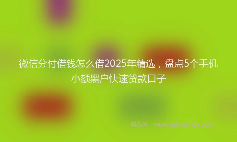 微信分付借钱怎么借2025年精选，盘点5个手机小额黑户快速贷款口子