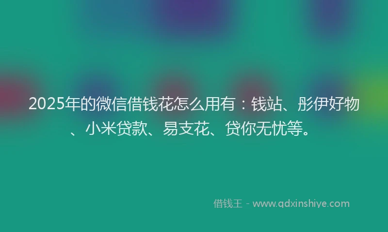 2025年的微信借钱花怎么用有：钱站、彤伊好物、小米贷款、易支花、贷你无忧等。
