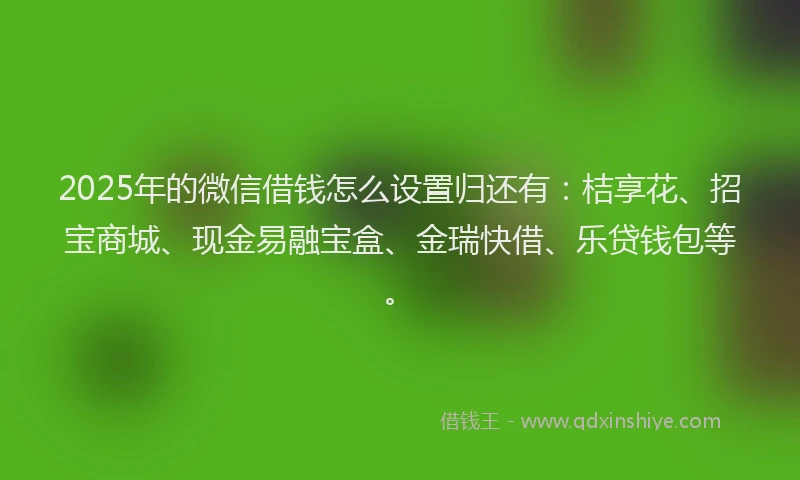 2025年的微信借钱怎么设置归还有：桔享花、招宝商城、现金易融宝盒、金瑞快借、乐贷钱包等。