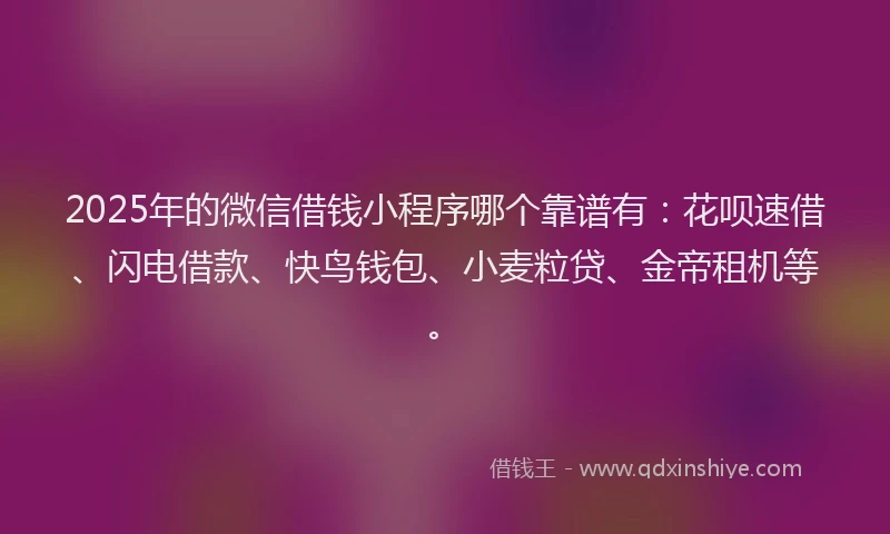 2025年的微信借钱小程序哪个靠谱有：花呗速借、闪电借款、快鸟钱包、小麦粒贷、金帝租机等。