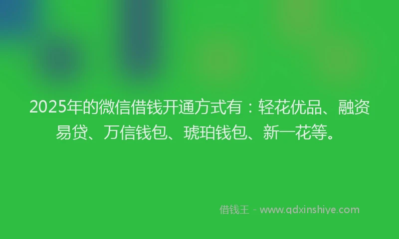 2025年的微信借钱开通方式有：轻花优品、融资易贷、万信钱包、琥珀钱包、新一花等。