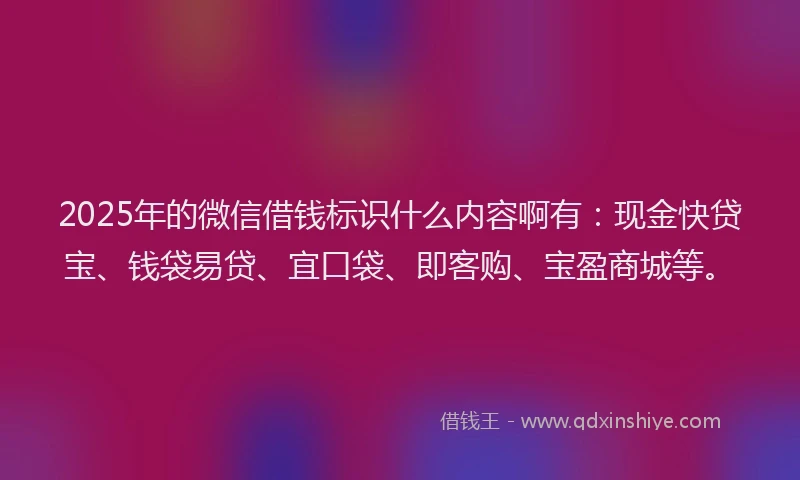 2025年的微信借钱标识什么内容啊有：现金快贷宝、钱袋易贷、宜口袋、即客购、宝盈商城等。