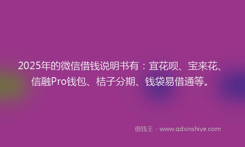 2025年的微信借钱说明书有：宜花呗、宝来花、信融Pro钱包、桔子分期、钱袋易借通等。